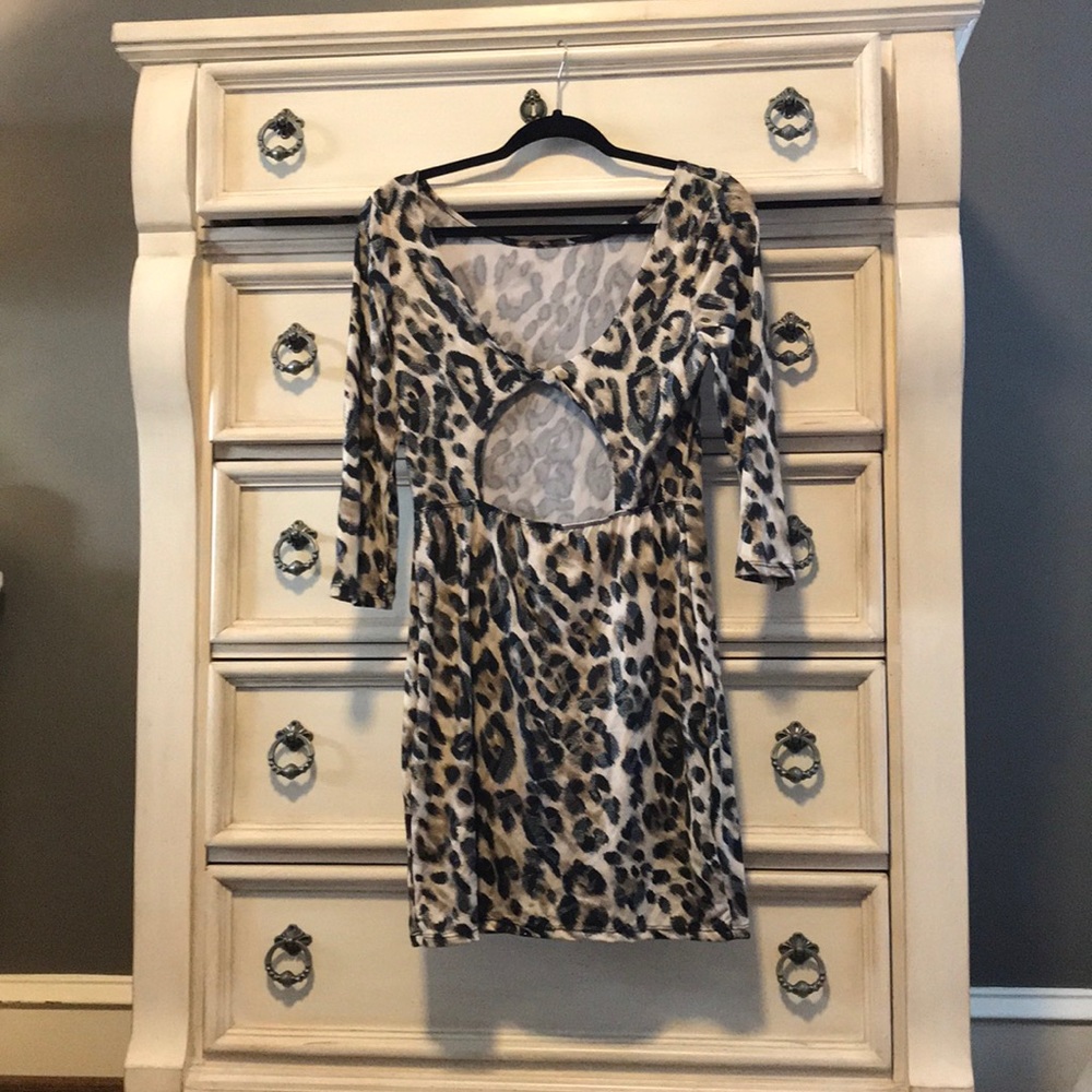 Vibrant leopard mini - Picture 3 of 4